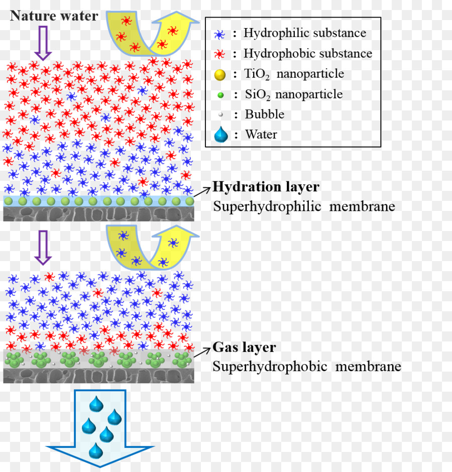 المواد العضوية，Nanofiltration PNG