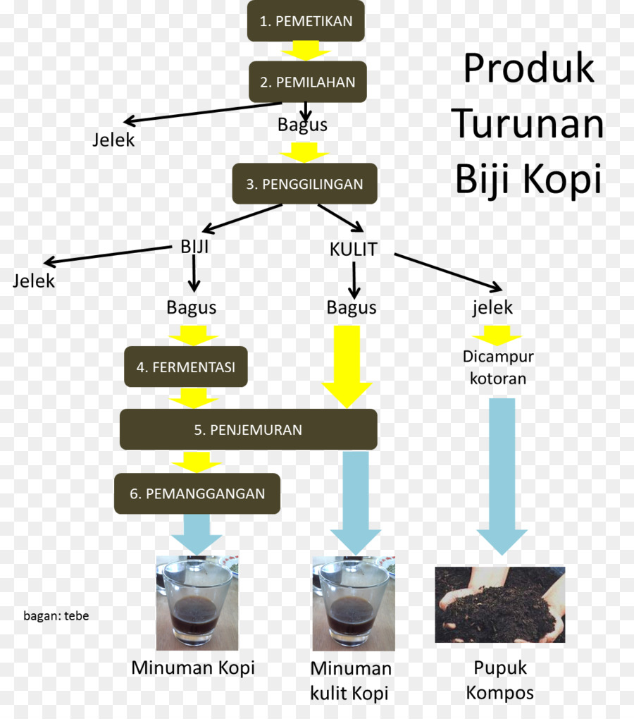 القهوة，حبة البن PNG