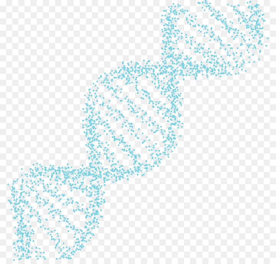 الأنساب الحمض النووي اختبار，الحمض النووي PNG