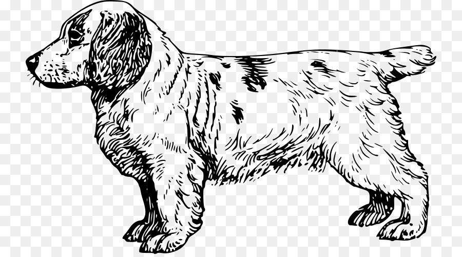 الكلب，الرسم PNG