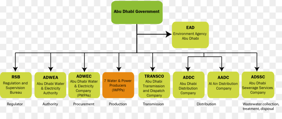 العلامة التجارية，المنظمة PNG