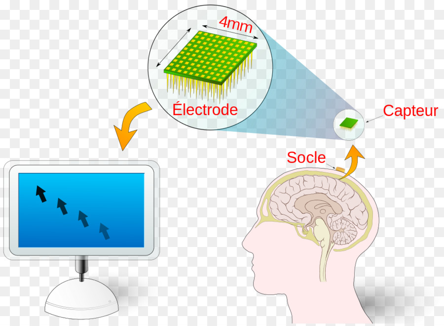 واجهة Braincomputer，تكنولوجيا PNG