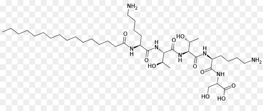 Palmitoyl Pentapeptide4，الأعمال PNG