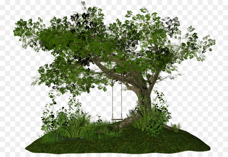 شجرة，Tinypic PNG