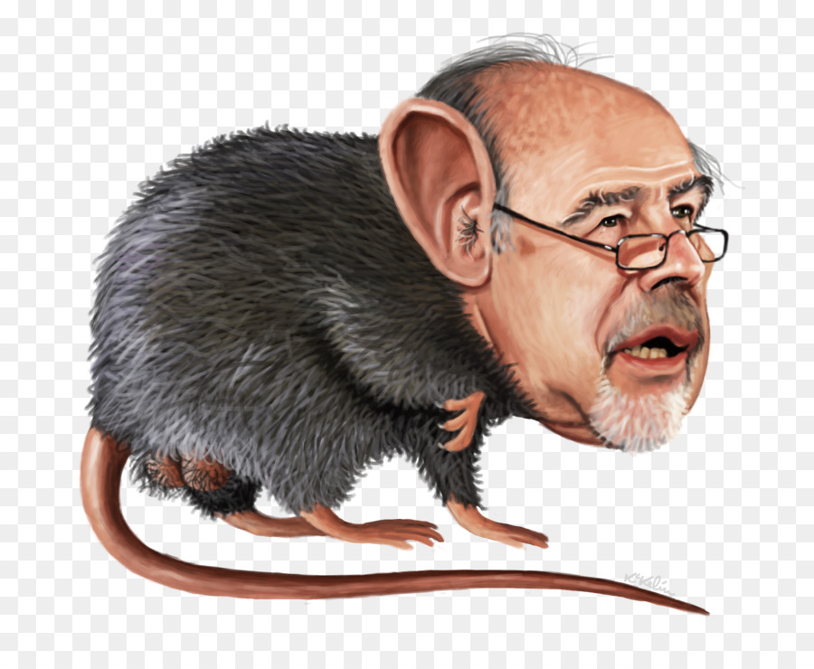رامون راتو，الفئران PNG