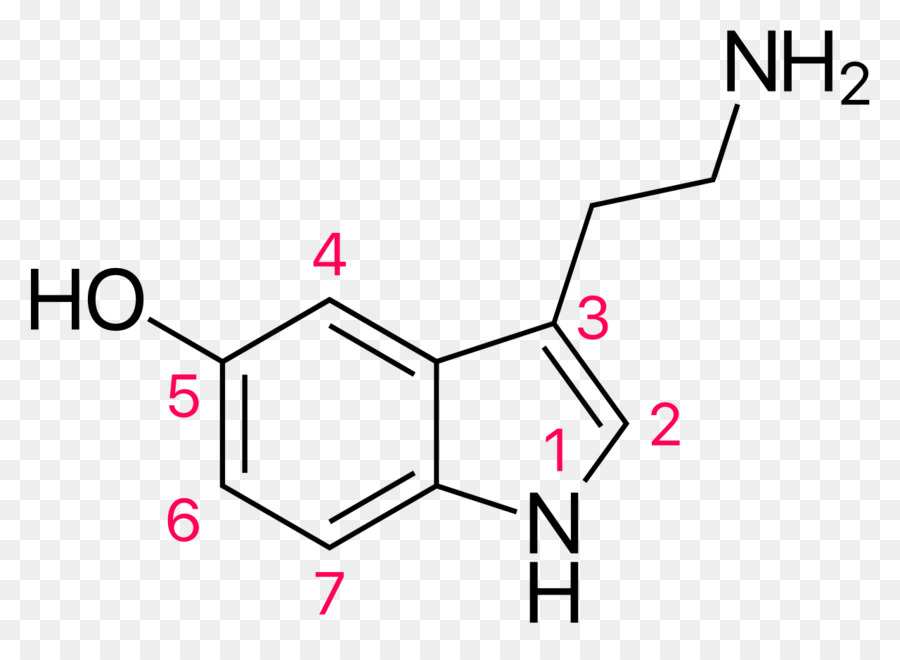 السيروتونين，الكيمياء PNG