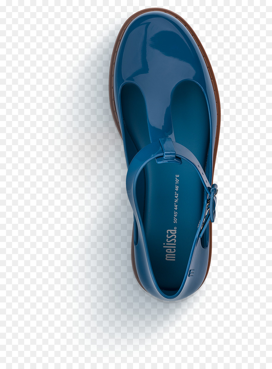 فليبفلوبس，الحذاء PNG