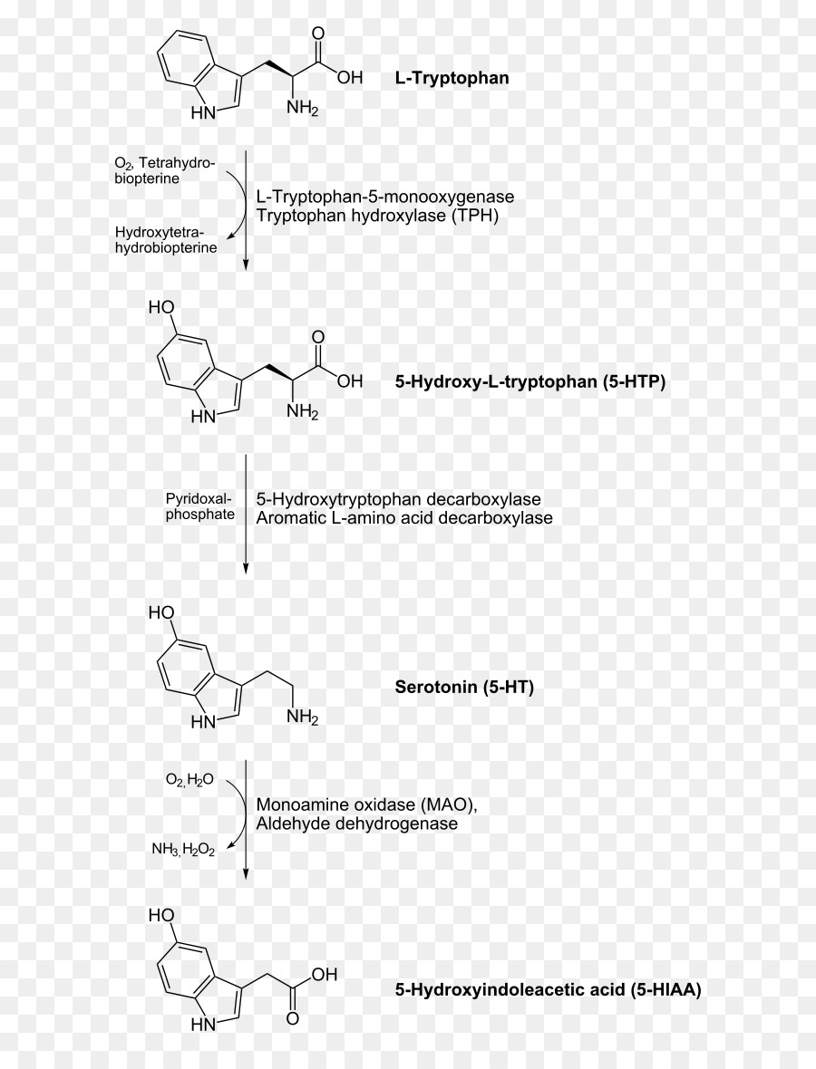 العطرية Lamino Acid Decarboxylase，العطرية Lamino Acid Decarboxylase المانع PNG