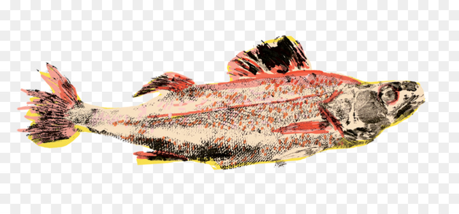 سمك السالمون，منتجات الأسماك PNG