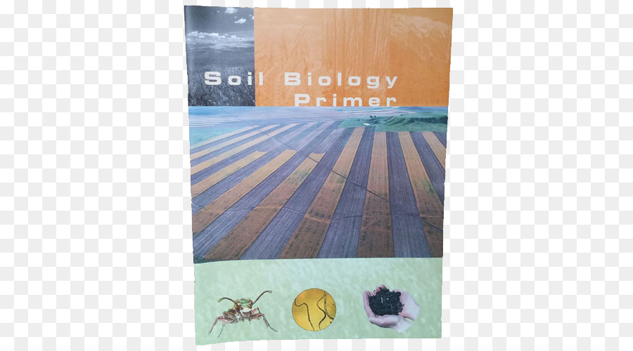 بيولوجيا التربة，تربة PNG
