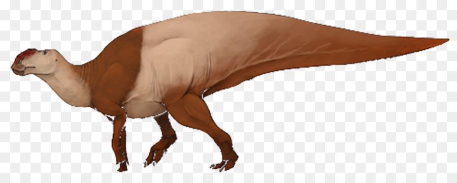 Hadrosaurus，Edmontosaurus PNG
