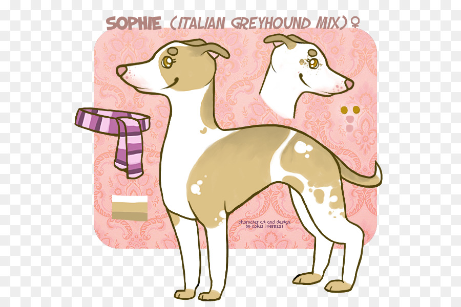 السلوقي الإيطالي，الكلب السلوقي PNG