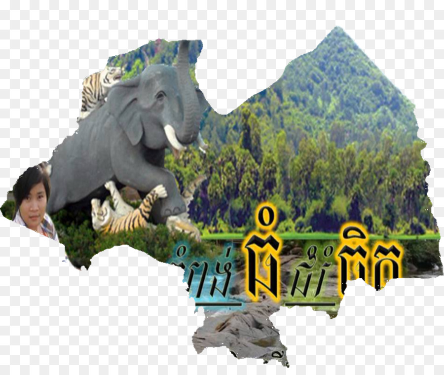 ديناصور，الحيوانات PNG