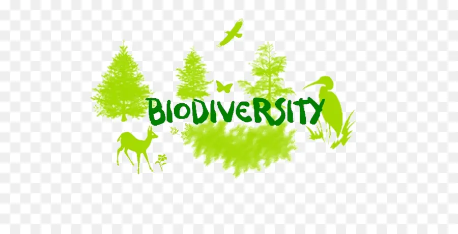 التنوع البيولوجي，فقدان التنوع البيولوجي PNG