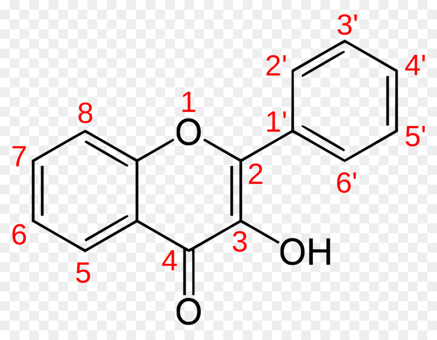 الفلافونول，الفلافونويد PNG