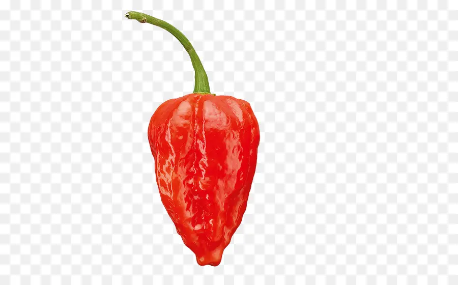 Habanero，تباسكو الفلفل PNG