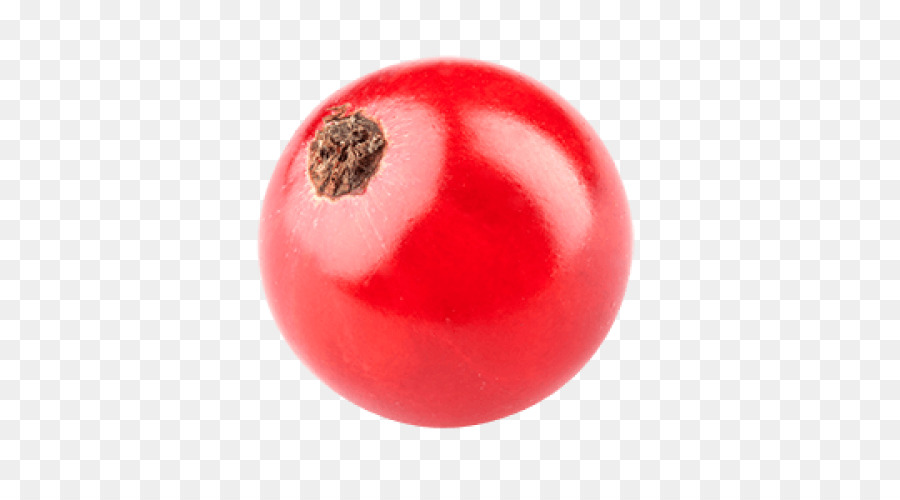 الطماطم，عنب النصاري PNG