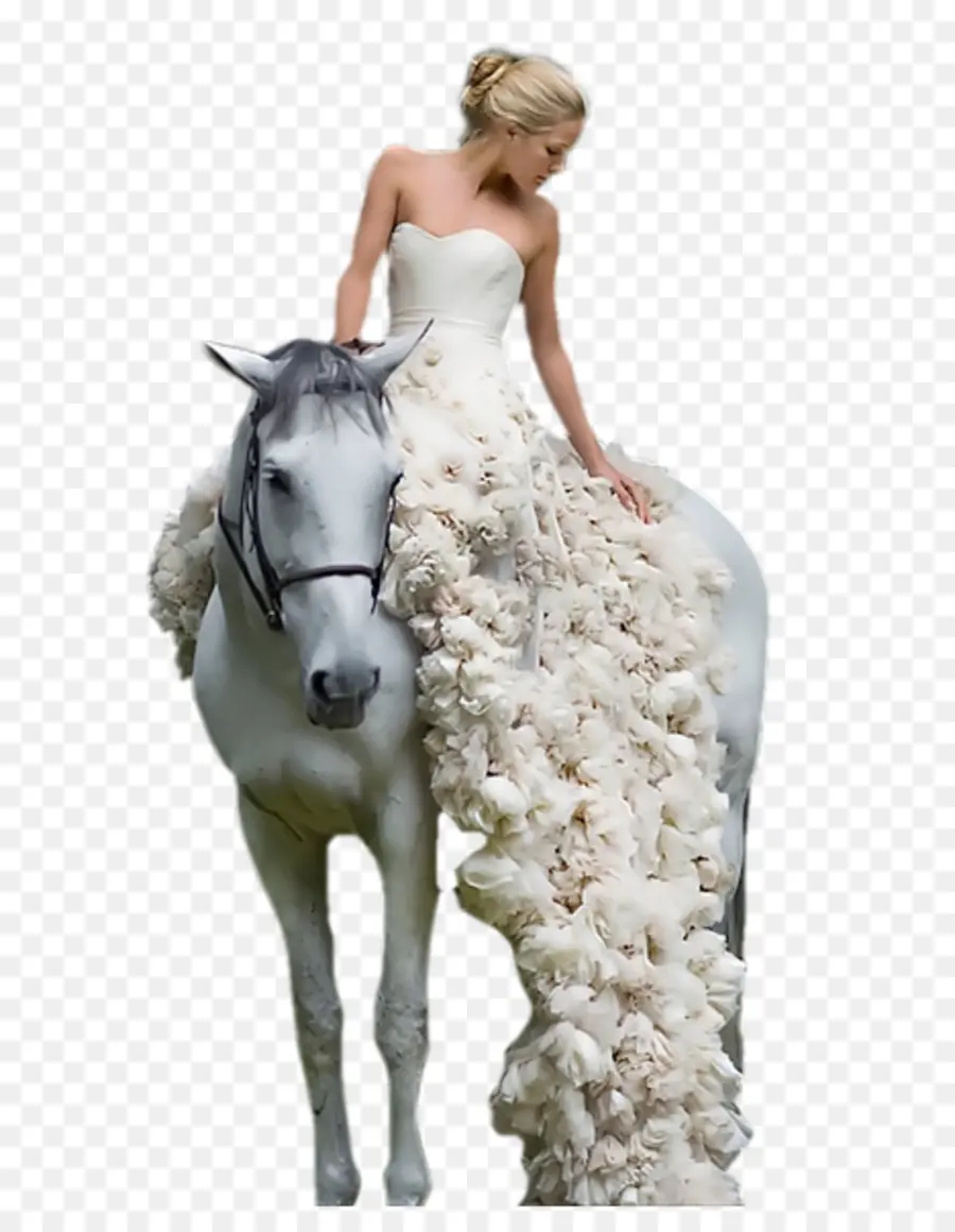 فستان الزفاف，الحصان PNG