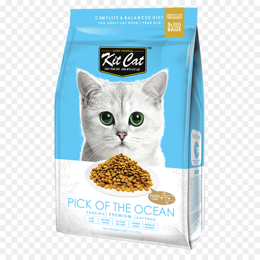 القط الغذاء，القط PNG
