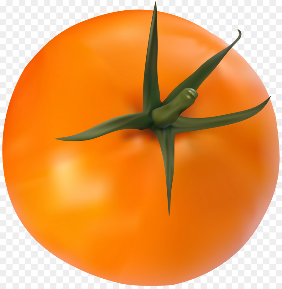 الطماطم，صورة تنسيقات الملفات PNG