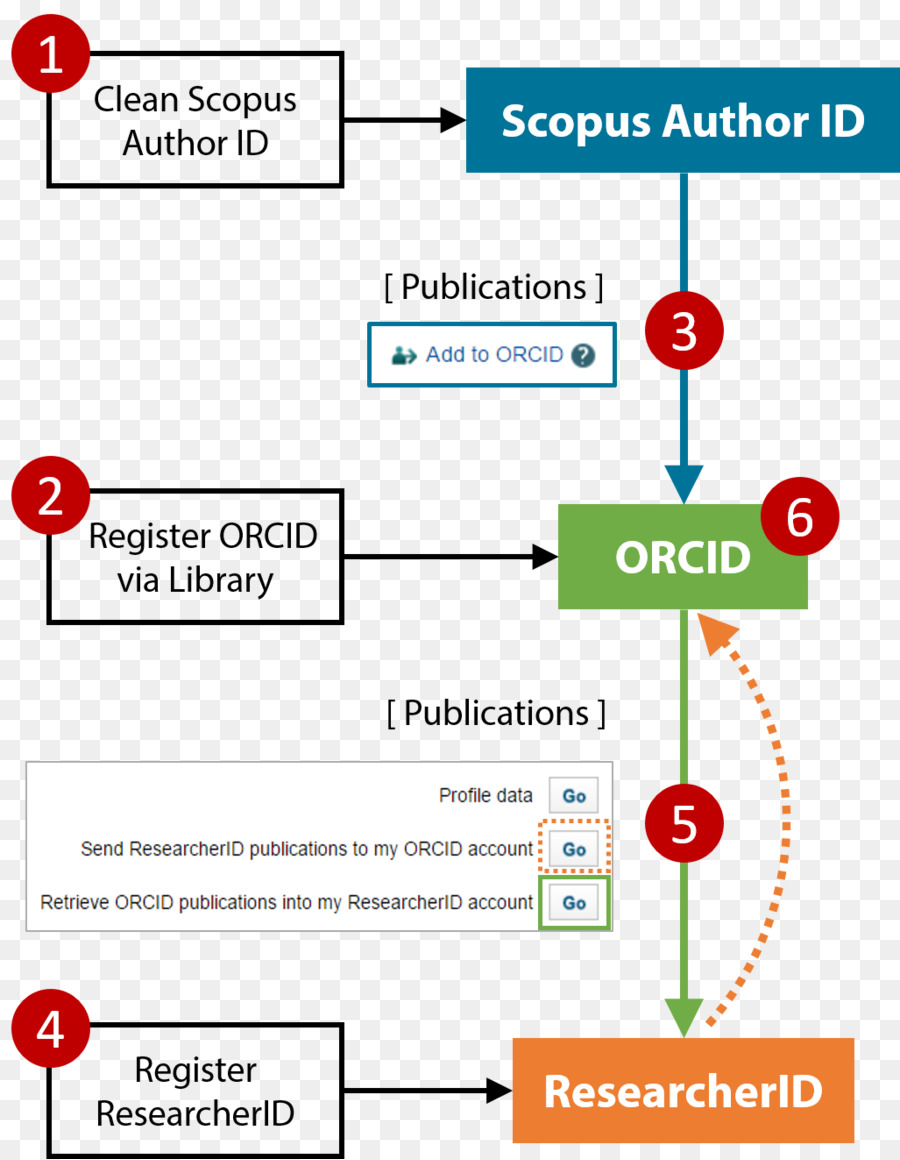 جامعة هونغ كونغ للفنون التطبيقية，Orcid PNG