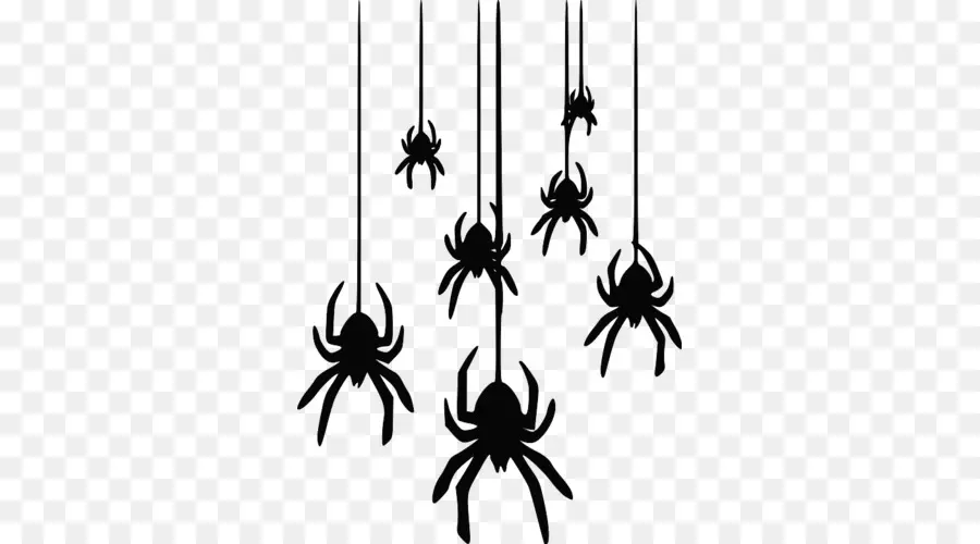 العنكبوت，البيت الأسود العنكبوت PNG