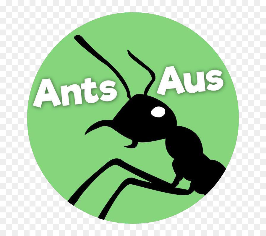 النمل，الأرجنتيني النمل PNG