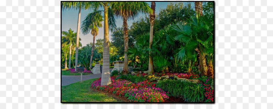 حديقة Majorelle，Majorelle Blue PNG