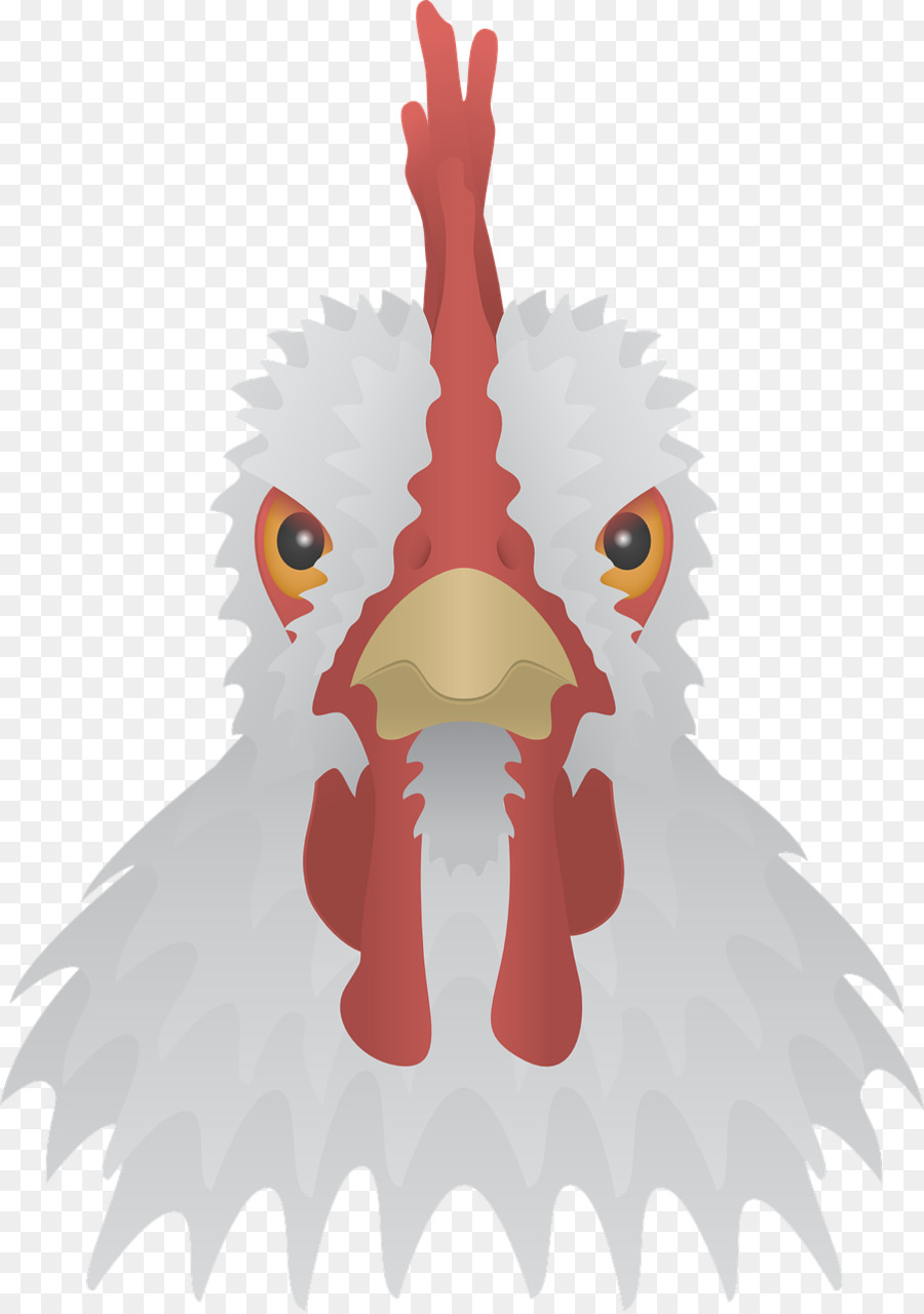 الدجاج，التي شيرت PNG