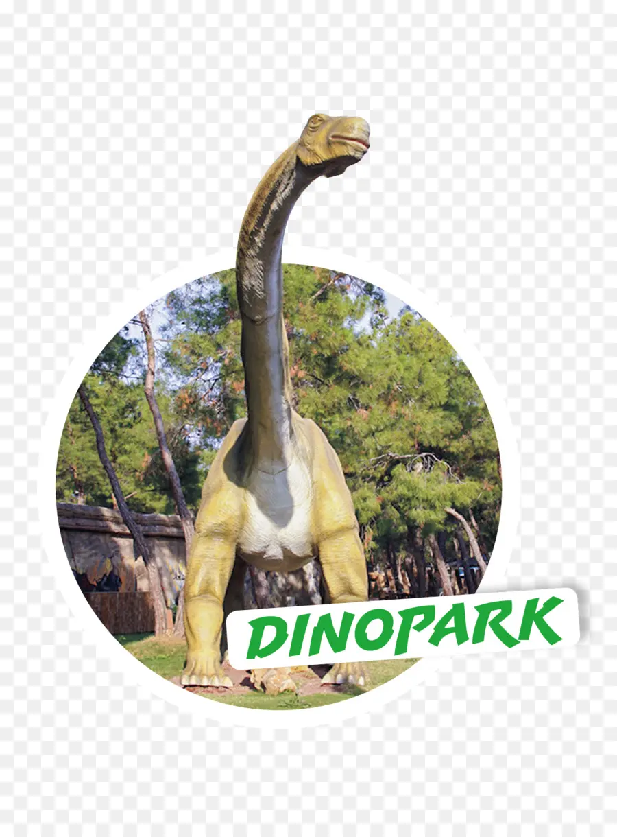 ديناصور，شجرة PNG