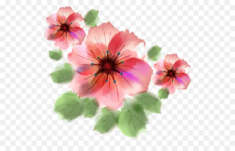 الزهور المائية，لوحة ألوان مائية PNG