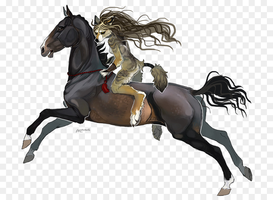 راكب الخيل，الفروسية PNG