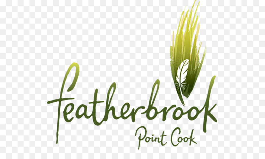 المركزية الأسهم Featherbrook بوينت كوك，المركزية الأسهم PNG