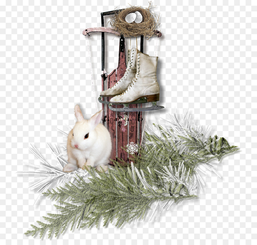 المحلية الأرنب，زخرفة عيد الميلاد ، PNG
