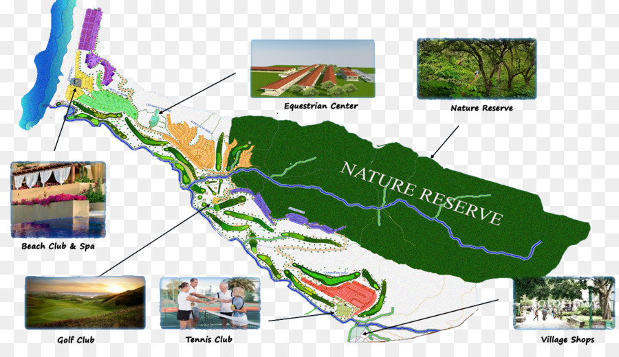 خريطة，النظام البيئي PNG