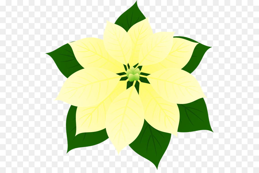 تصميم الأزهار，النباتات المزهرة PNG