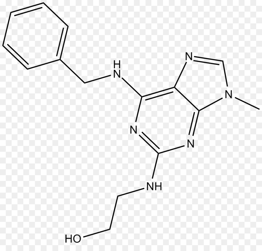 Cyclindependent كيناز，Cyclindependent كيناز 1 PNG
