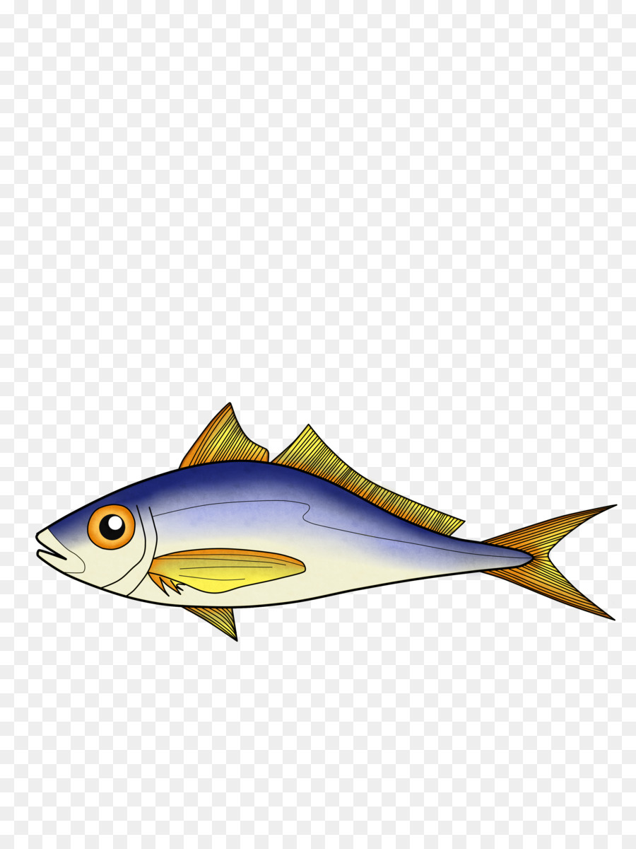 السردين，الأسماك PNG