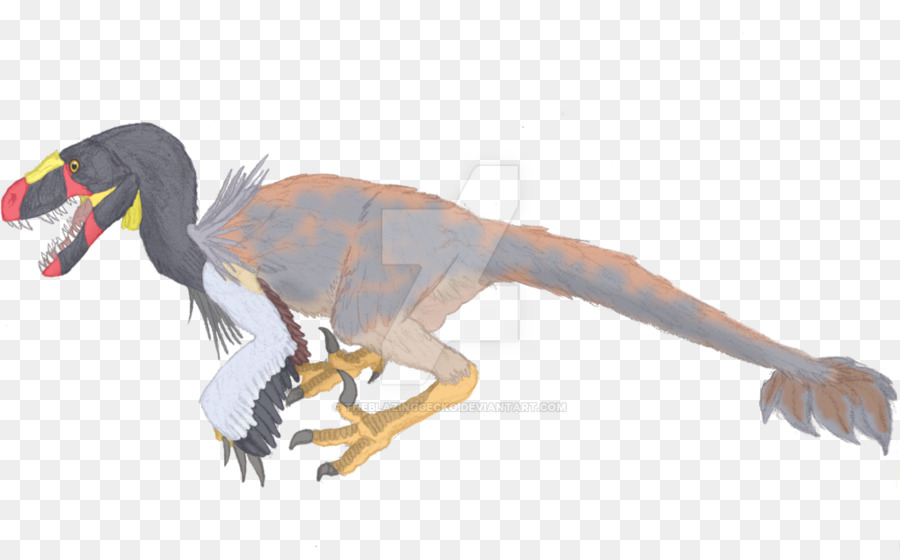 فيلوسيرابتور，Dromaeosaurus PNG