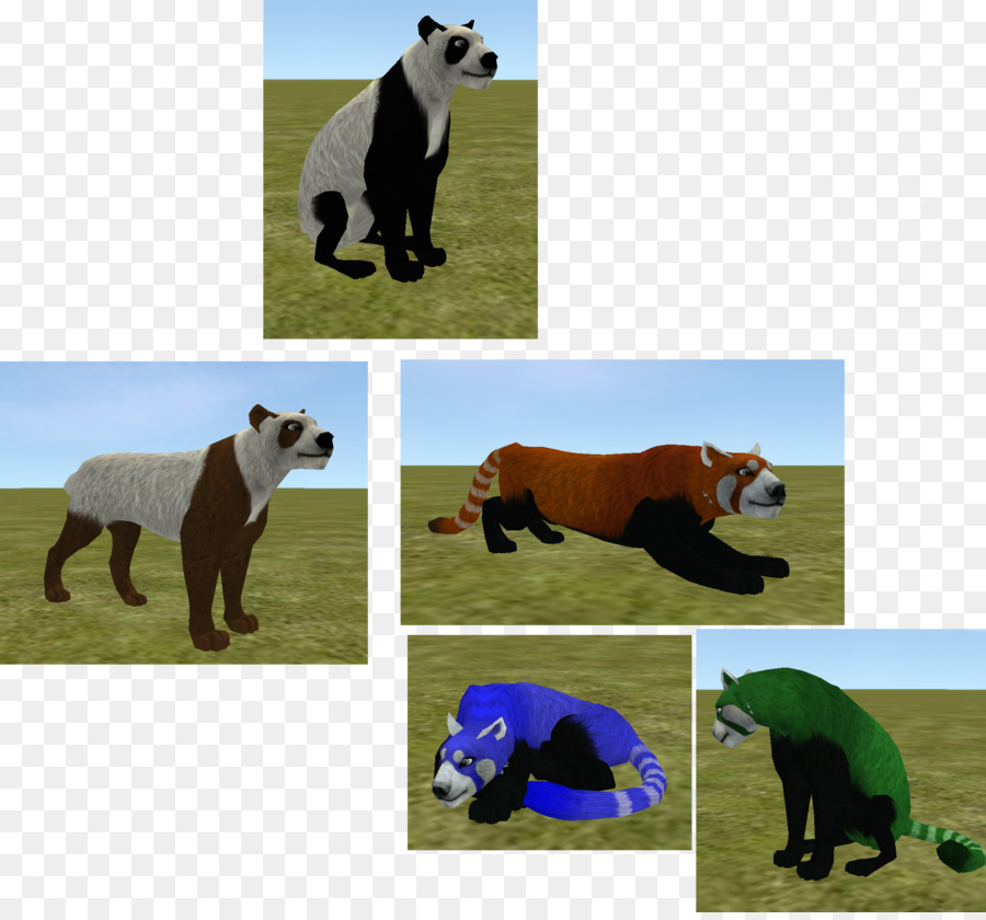 الدب，الباندا العملاقة PNG