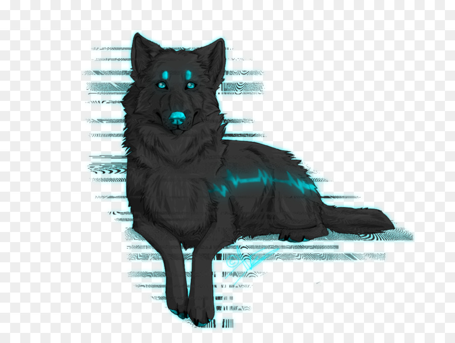 الكلب تولد，Schipperke PNG