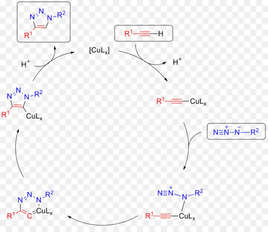 Azidealkyne Huisgen Cycloaddition，انقر فوق الكيمياء PNG