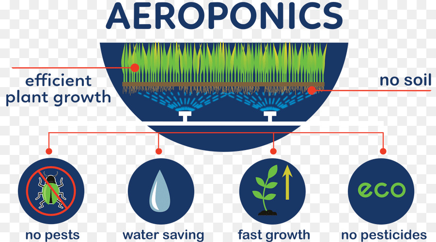 Aeroponics，نمو النبات PNG