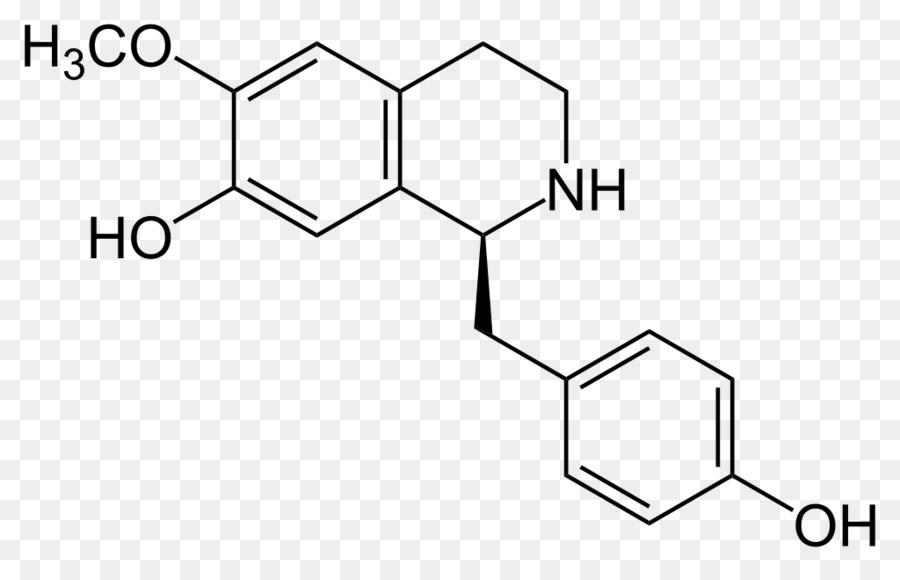 Coclaurine，Tetrahydroisoquinoline PNG