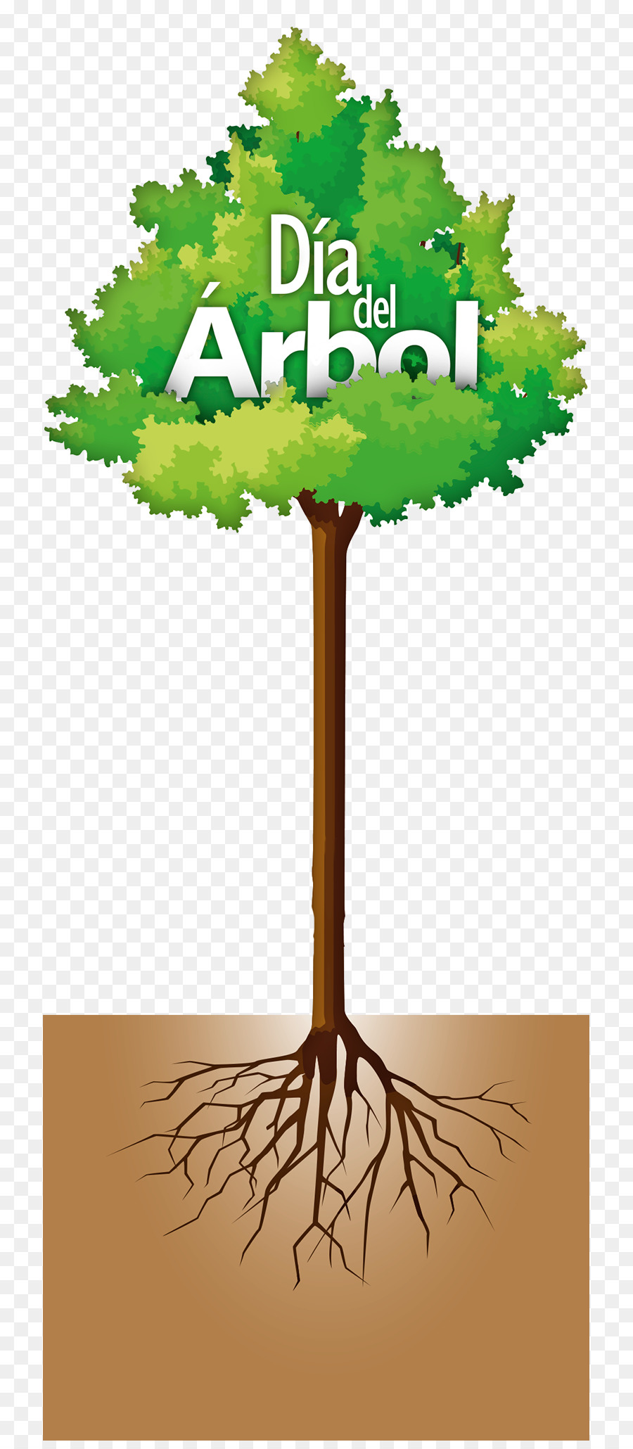 شجرة，يوم الشجرة PNG