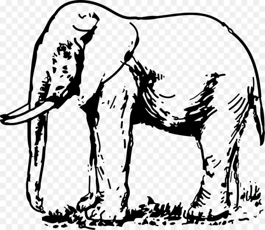 Elephantidae，الرسم PNG