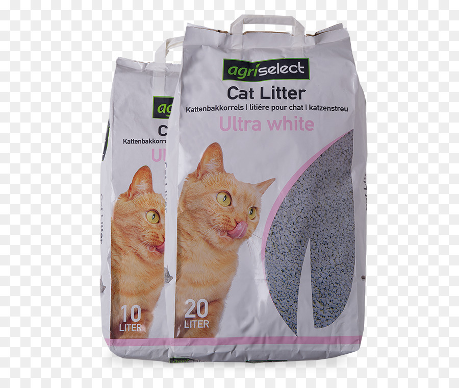 قطة，صواني القمامة القط PNG