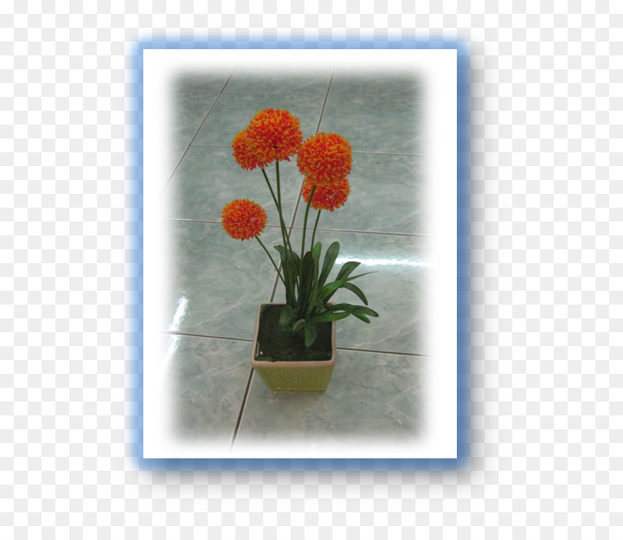 البتلة，زهور PNG