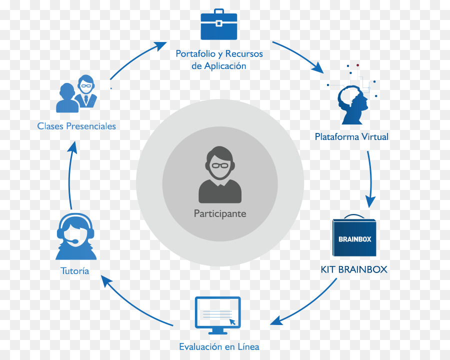 التعليم，Neuroeducation PNG