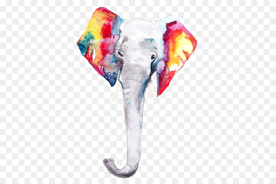 Elephantidae，الرسم بالألوان المائية PNG
